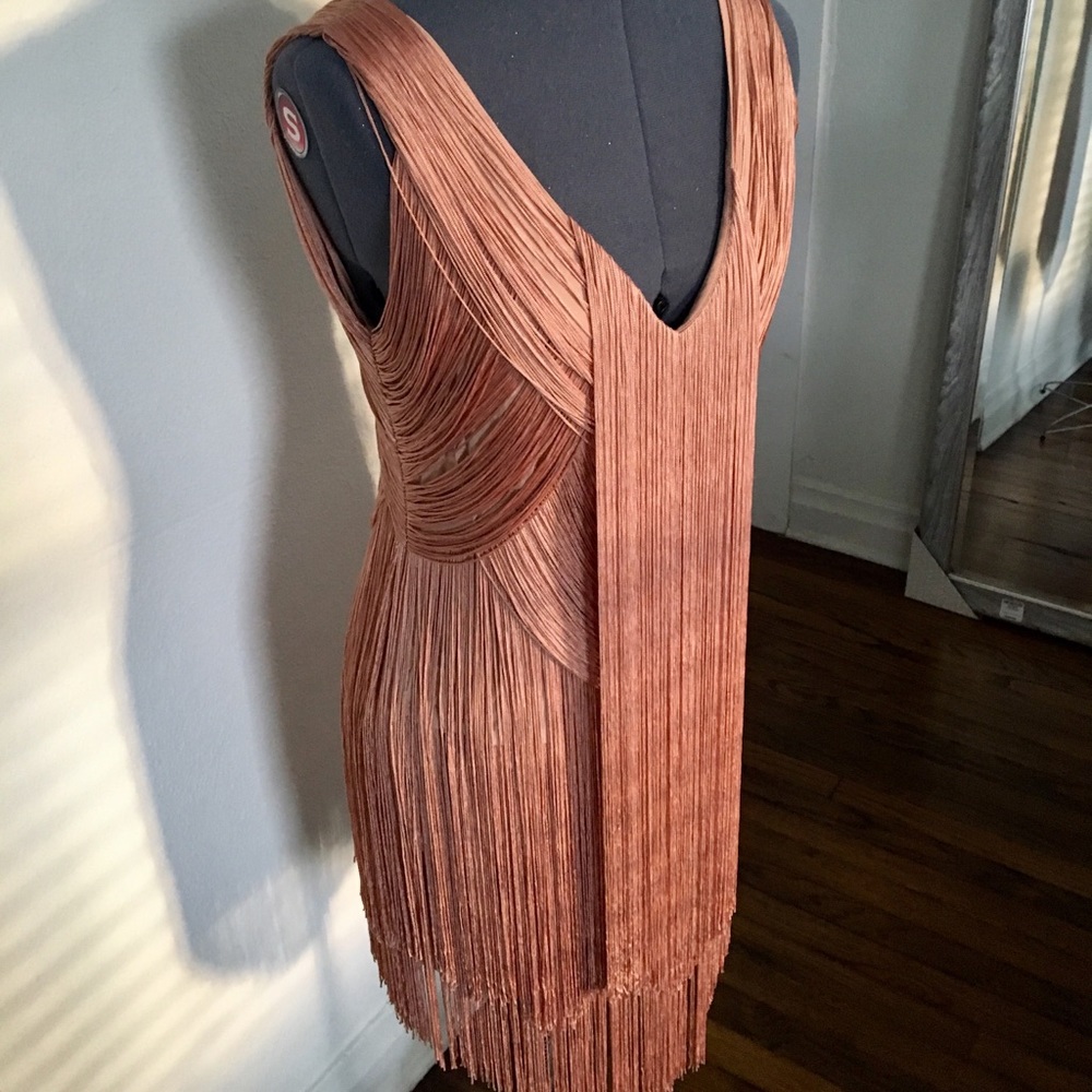 Haute Hippie fringe dress